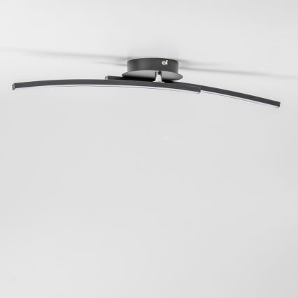 LED Stropní svítidlo 2xLED/6W/230V černá