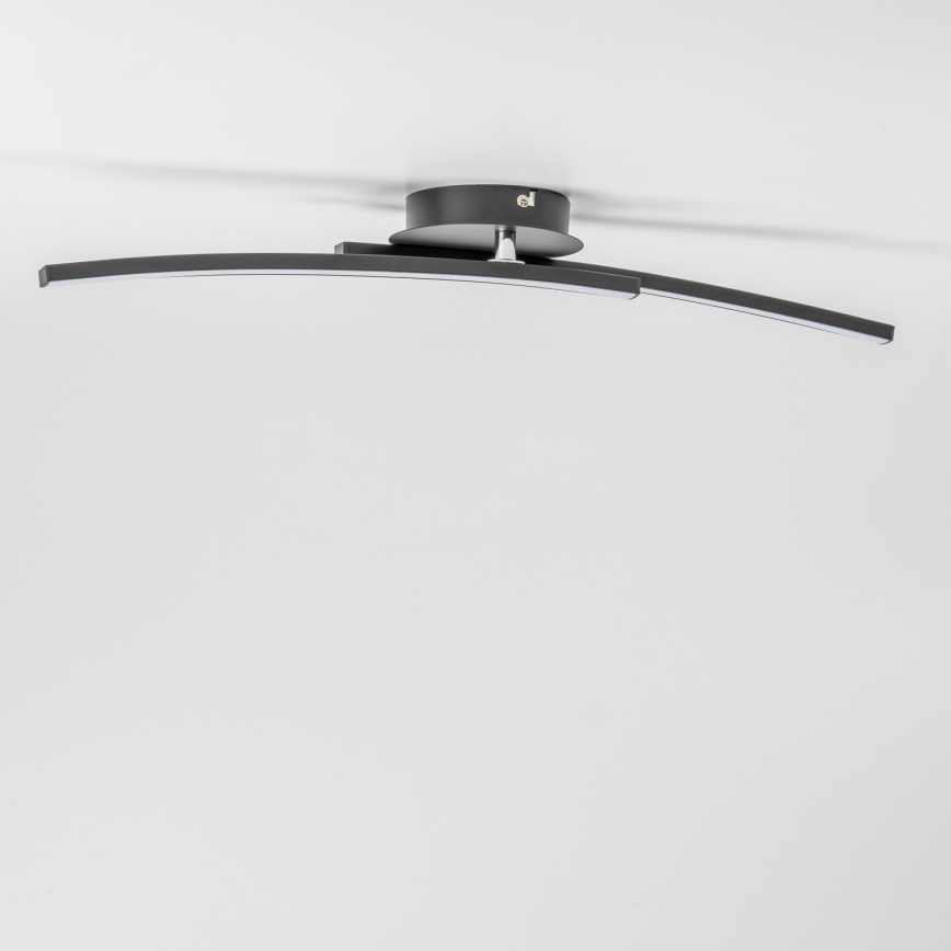 LED Stropní svítidlo 2xLED/6W/230V černá