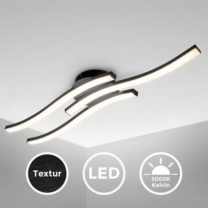 LED Stropní svítidlo 3xLED/6W/230V 2700K černá
