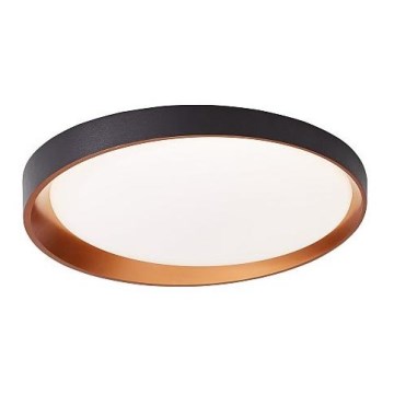 LED Stropní svítidlo ADEL LED/40W/230V pr. 50 cm černá