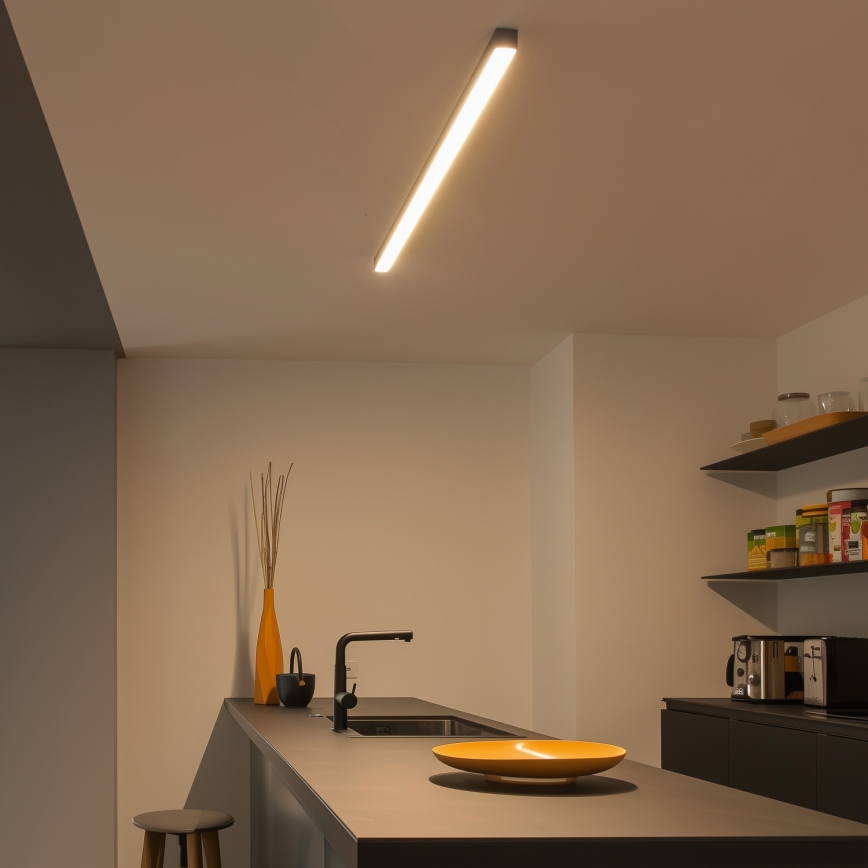 LED Stropní svítidlo ALLDAY BASIC LED/20/30/40W/230V 2700/4000/6000K 120 cm černá