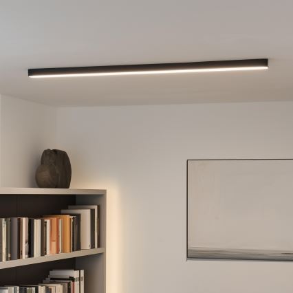 LED Stropní svítidlo ALLDAY BASIC LED/20/30/40W/230V 2700/4000/6000K 120 cm černá