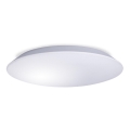 LED Stropní svítidlo AVESTA LED/18W/230V IP54