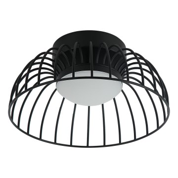 LED Stropní svítidlo BETSY LED/12W/230V pr. 25 cm černá