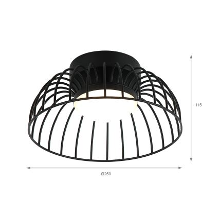 LED Stropní svítidlo BETSY LED/12W/230V pr. 25 cm černá