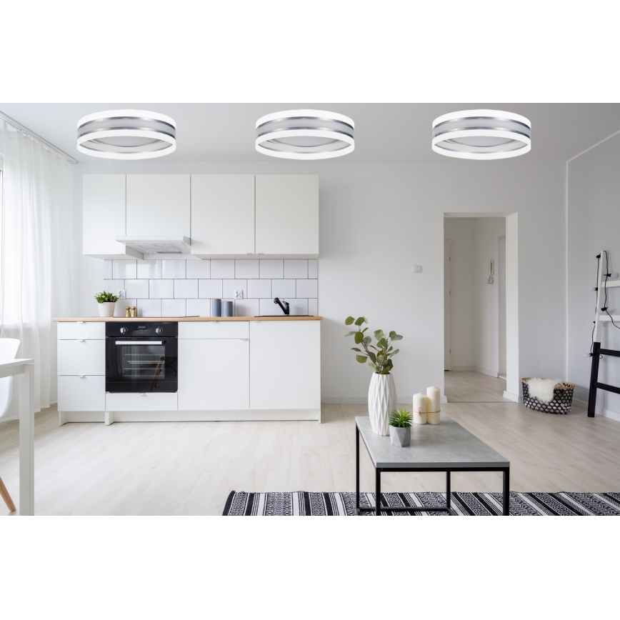 LED Stropní svítidlo CORAL 1xLED/24W/230V bílá/stříbrná