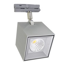 LED Stropní svítidlo DAU SPOT MONOFASE LED/10W/230V