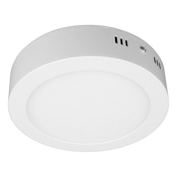 LED Stropní svítidlo DIEGO LED/12W/230V 4000K IP40 pr. 16,5 cm bílá