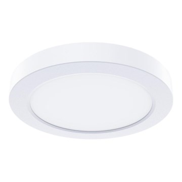 LED Stropní svítidlo EVORA LED/6W/230V 3000/4000/6000K pr. 14 cm bílá