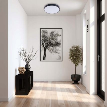 LED Stropní svítidlo FELIZ LED/30W/230V 4000K pr. 30 cm černá