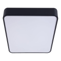 LED Stropní svítidlo FELIZ LED/50W/230V 4000K 40x60 cm černá