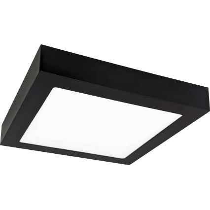 LED Stropní svítidlo FENIX LED/12W/230V 2800K 17 cm