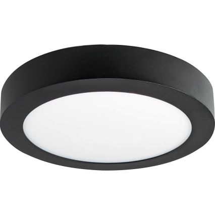 LED Stropní svítidlo FENIX LED/12W/230V 2800K pr. 17 cm