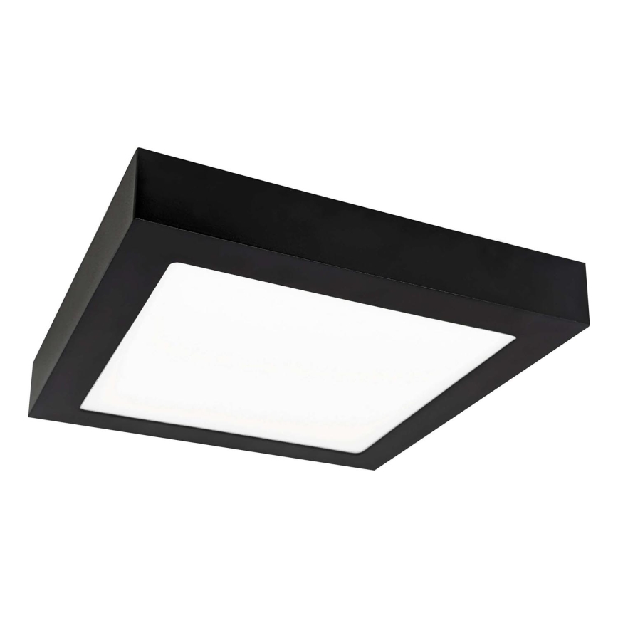 LED Stropní svítidlo FENIX LED/12W/230V 3800K 17 cm