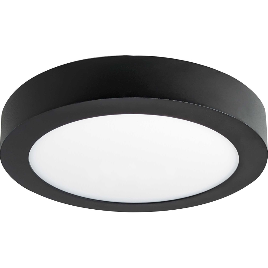 LED Stropní svítidlo FENIX LED/12W/230V 3800K pr. 17 cm