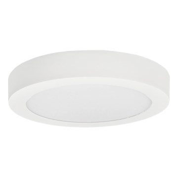 LED Stropní svítidlo FENIX LED/12W/230V 3800K pr. 17 cm sněhově bílá