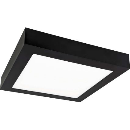 LED Stropní svítidlo FENIX LED/18W/230V 3800K 22,5 cm