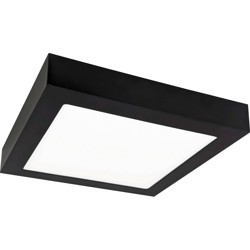 LED Stropní svítidlo FENIX LED/18W/230V 3800K 22,5 cm