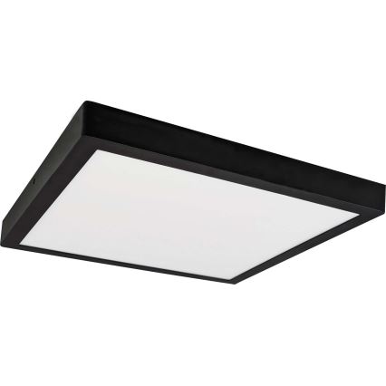 LED Stropní svítidlo FENIX LED/24W/230V 3800K 29,8 cm