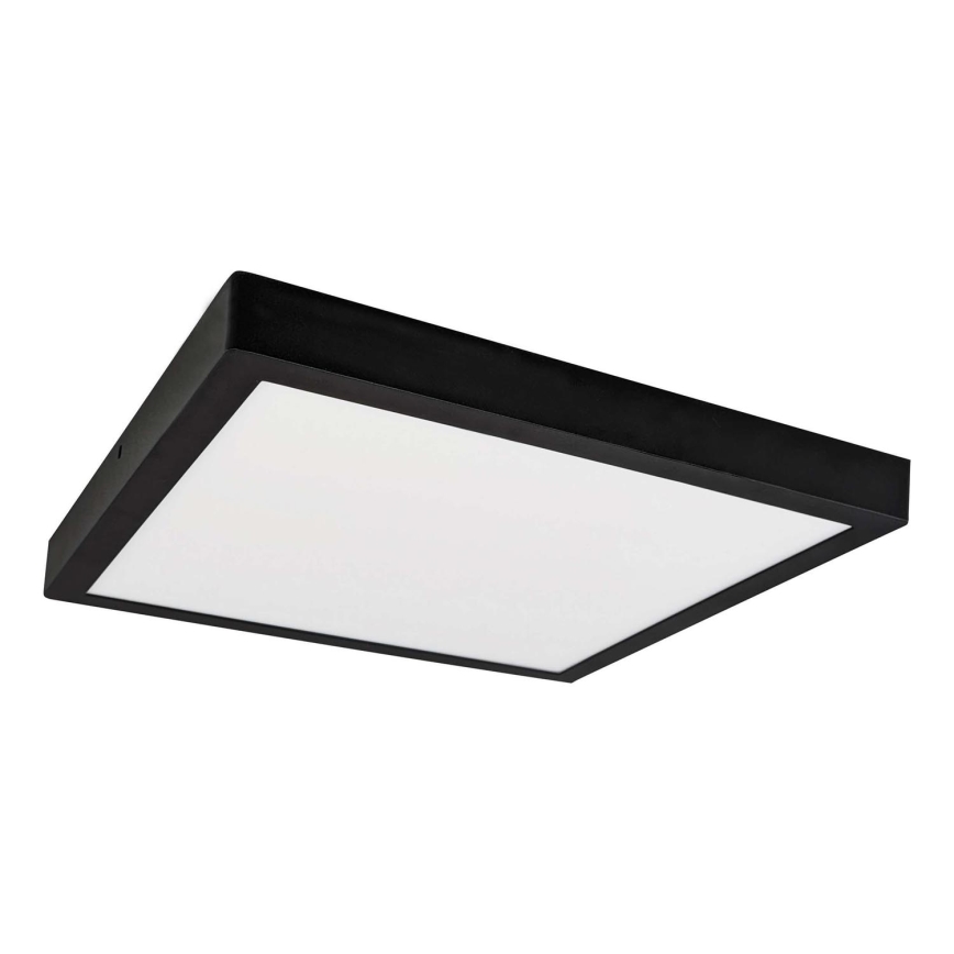 LED Stropní svítidlo FENIX LED/24W/230V 3800K 29,8 cm