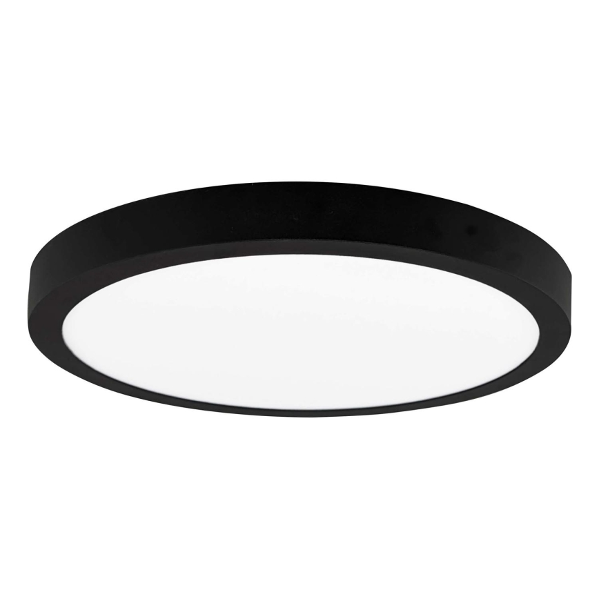 LED Stropní svítidlo FENIX LED/24W/230V 3800K pr. 29,8 cm