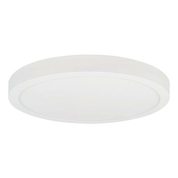 LED Stropní svítidlo FENIX LED/32W/230V 3800K pr. 40 cm sněhově bílá