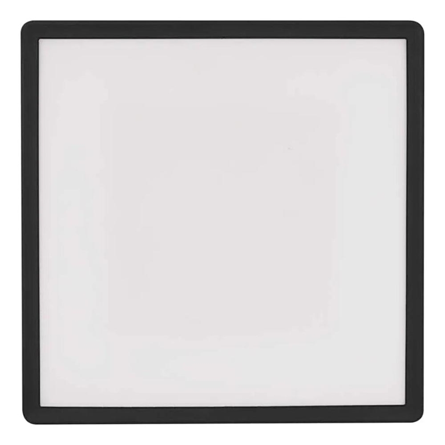 LED Stropní svítidlo FLORI LED/18W/230V 4000K černá 29x29 cm