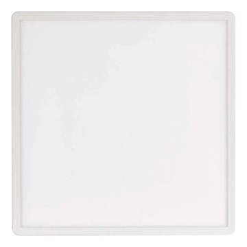 LED Stropní svítidlo FLORI LED/22W/230V 4000K bílá 42x42 cm