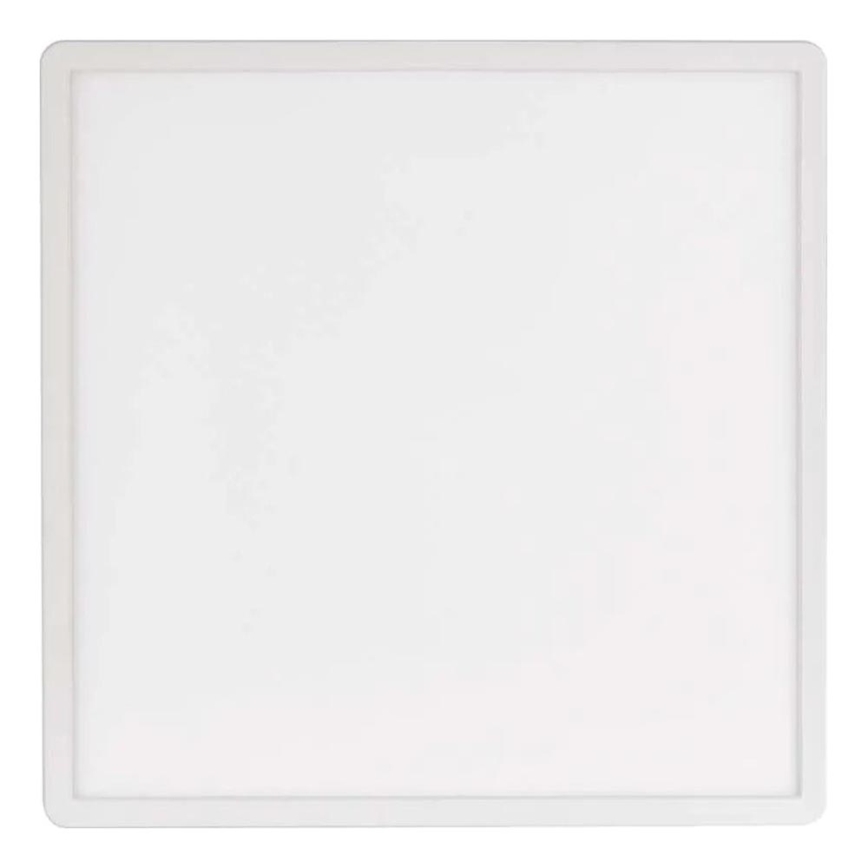 LED Stropní svítidlo FLORI LED/22W/230V 4000K bílá 42x42 cm