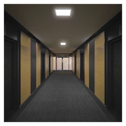 LED Stropní svítidlo FLORI LED/22W/230V 4000K bílá 42x42 cm