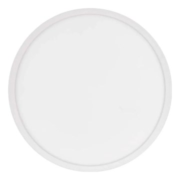 LED Stropní svítidlo FLORI LED/22W/230V 4000K bílá pr. 42 cm