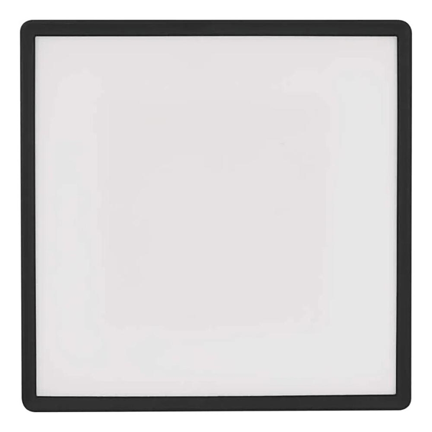 LED Stropní svítidlo FLORI LED/22W/230V 4000K černá 42x42 cm