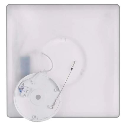 LED Stropní svítidlo FLORI LED/22W/230V 4000K černá 42x42 cm