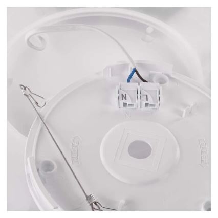 LED Stropní svítidlo FLORI LED/22W/230V 4000K černá 42x42 cm