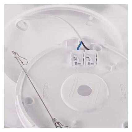 LED Stropní svítidlo FLORI LED/22W/230V 4000K černá pr. 42 cm