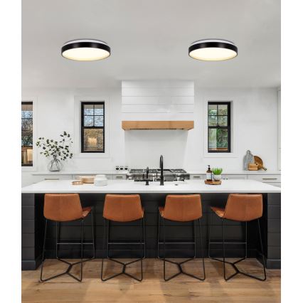 LED Stropní svítidlo FLORIDA LED/18W/230V černá