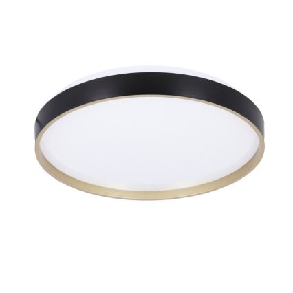 LED Stropní svítidlo FLORIDA LED/18W/230V černá
