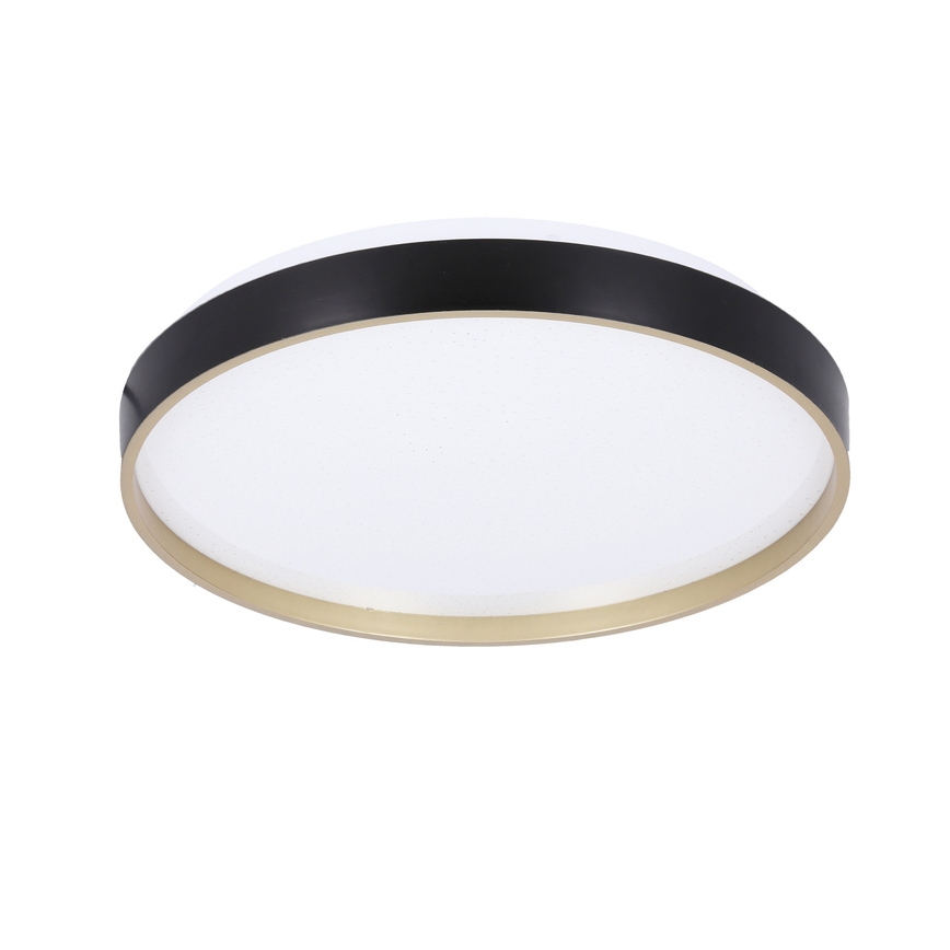 LED Stropní svítidlo FLORIDA LED/18W/230V černá