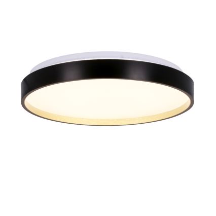 LED Stropní svítidlo FLORIDA LED/18W/230V černá