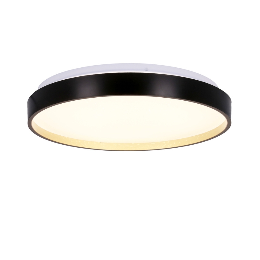 LED Stropní svítidlo FLORIDA LED/18W/230V černá