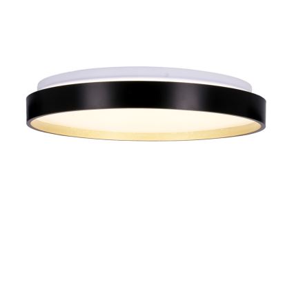 LED Stropní svítidlo FLORIDA LED/18W/230V černá