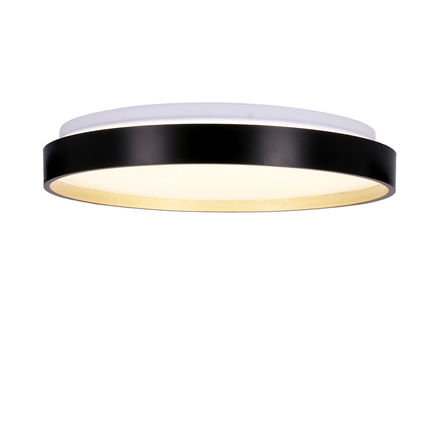 LED Stropní svítidlo FLORIDA LED/18W/230V černá
