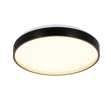 LED Stropní svítidlo FLORIDA LED/18W/230V černá
