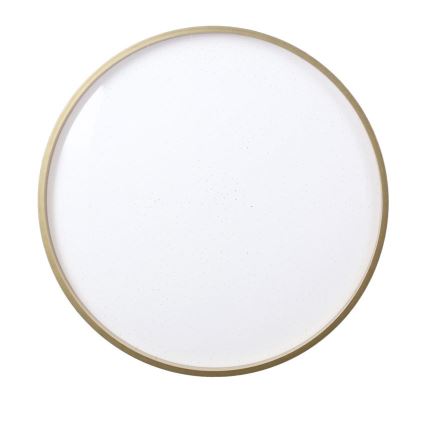 LED Stropní svítidlo FLORIDA LED/18W/230V černá