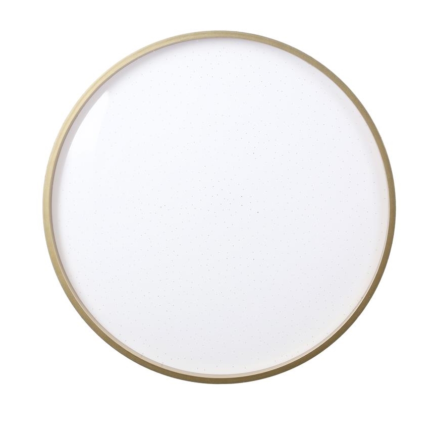 LED Stropní svítidlo FLORIDA LED/18W/230V černá