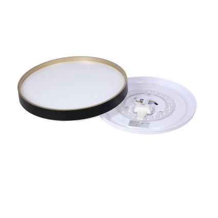 LED Stropní svítidlo FLORIDA LED/18W/230V černá