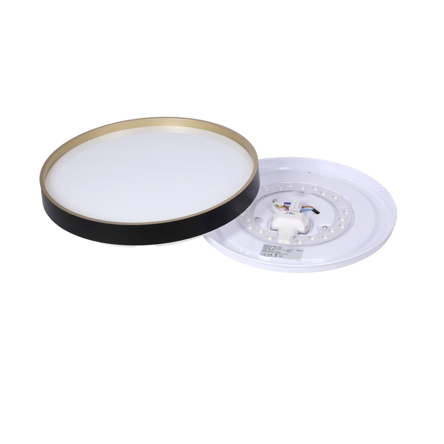 LED Stropní svítidlo FLORIDA LED/18W/230V černá