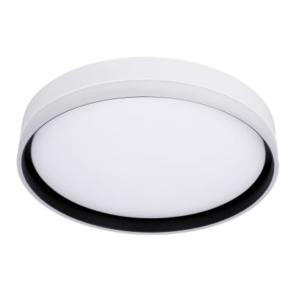 LED Stropní svítidlo FLORIDA LED/24W/230V bílá