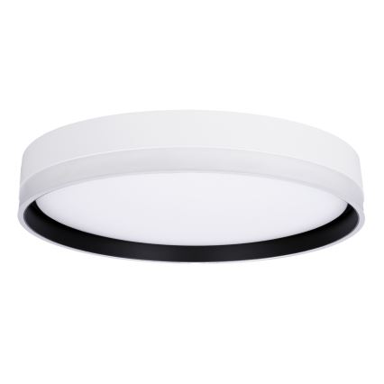 LED Stropní svítidlo FLORIDA LED/24W/230V bílá