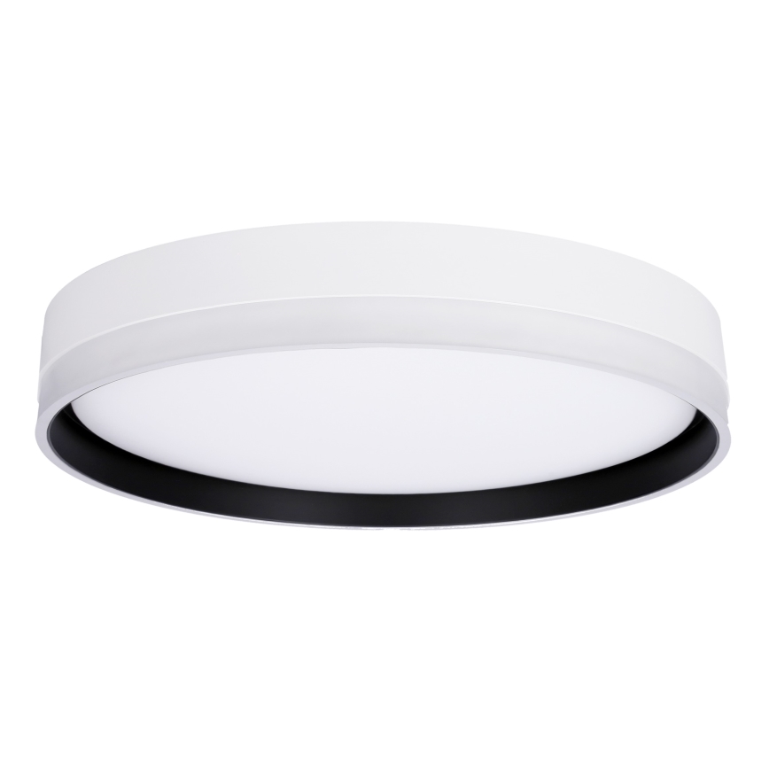 LED Stropní svítidlo FLORIDA LED/24W/230V bílá